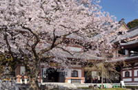 長谷寺
