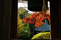 海蔵寺・鐘楼と紅葉