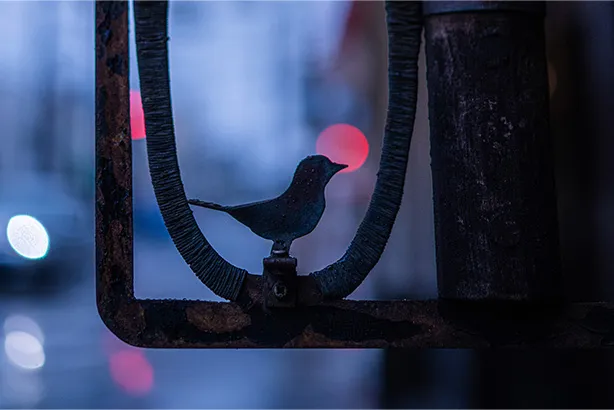 小雨の由比ガ浜通り