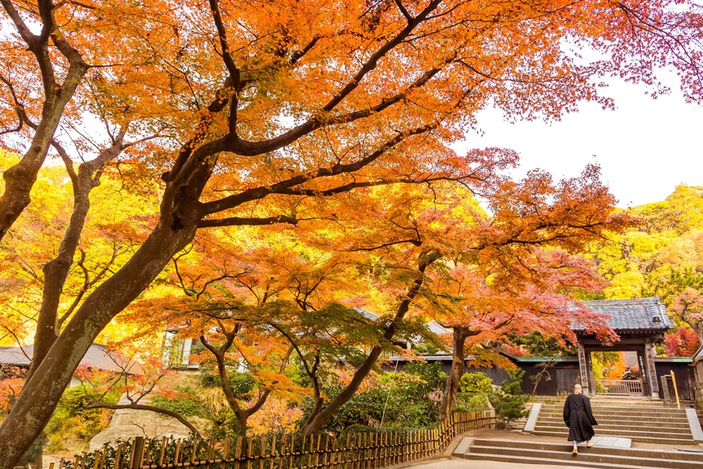 晩秋の静かな朝に