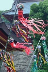 鶴岡八幡宮　七夕祭（「鎌倉」プロモーションフォトコンテスト2022より『風に吹かれて』）