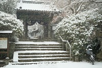 安国論寺・雪の山門